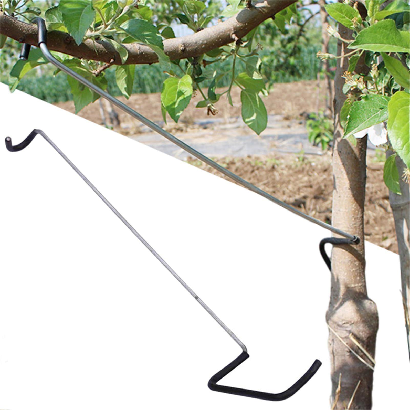 Gardening Tools On Sale - Fruit Tree Branch Spreader 10Pcs/set Garden