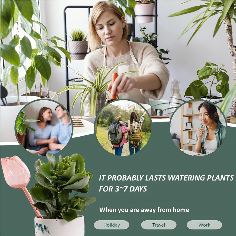 Pink Tulip Plant Watering Ball - مراجعة Gardening Tools Pink وسعره