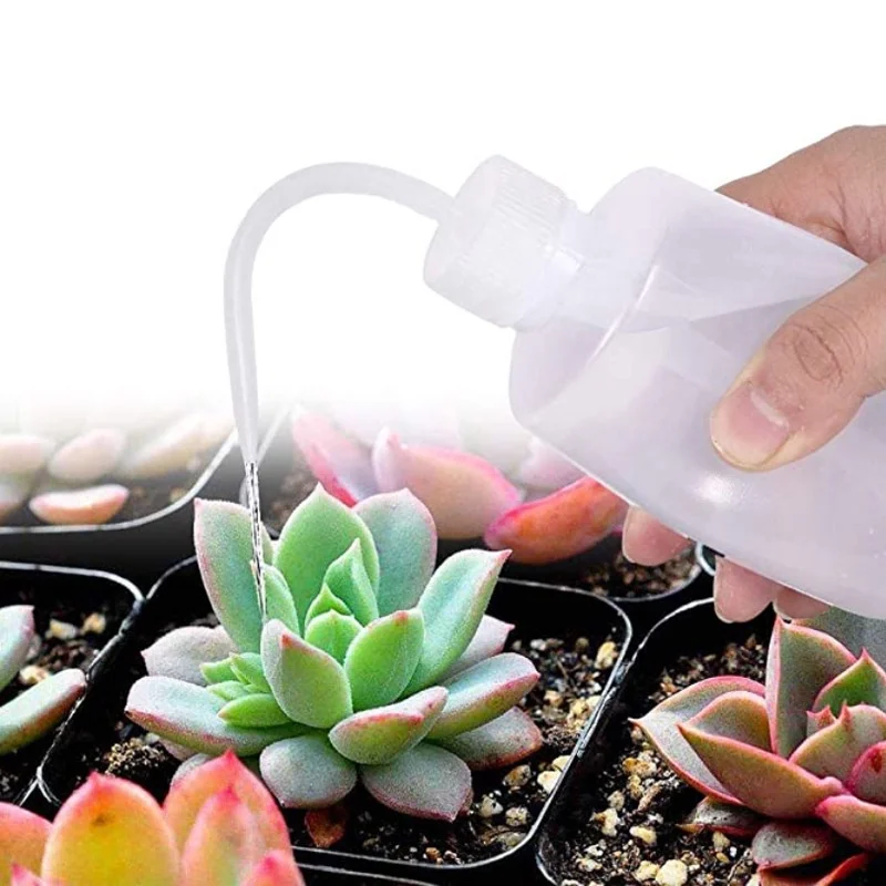 13Pcs Garden Planter Kit DIY S - مراجعة Gardening Tools Gifts وسعره