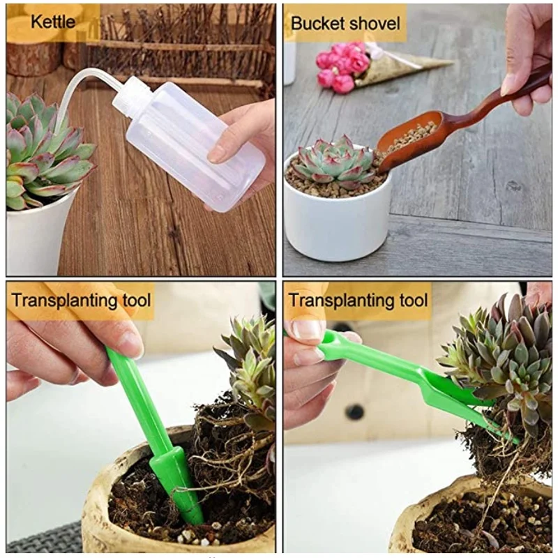 13Pcs Garden Planter Kit DIY S - مراجعة Gardening Tools Gifts وسعره