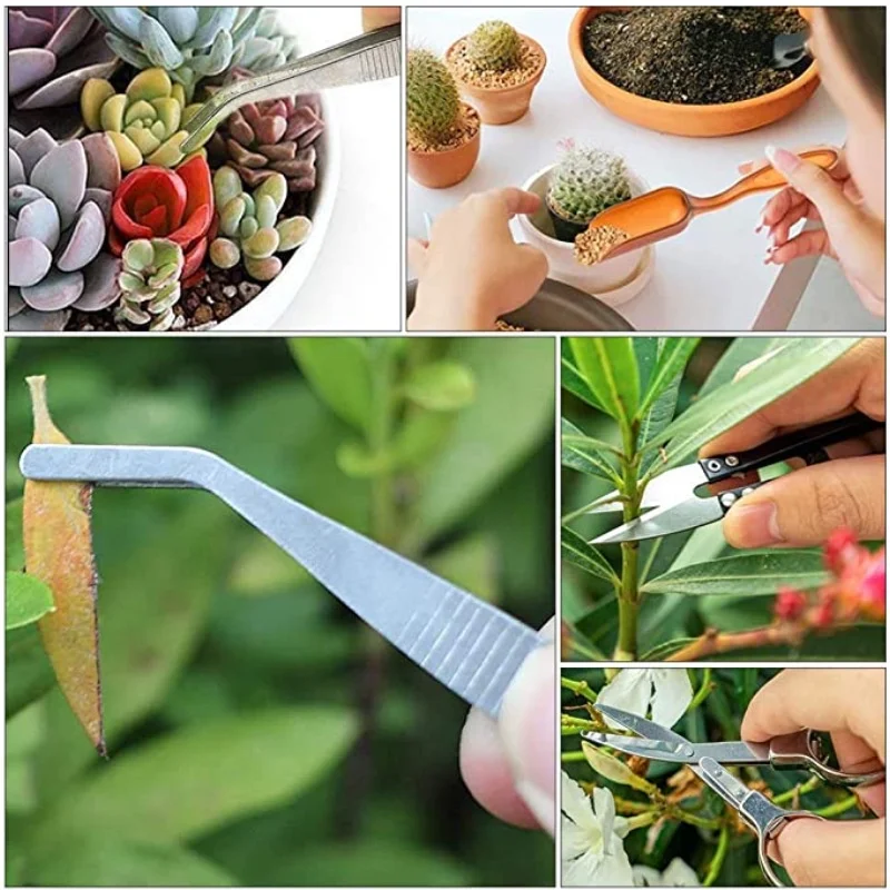 13Pcs Garden Planter Kit DIY S - مراجعة Gardening Tools Gifts وسعره