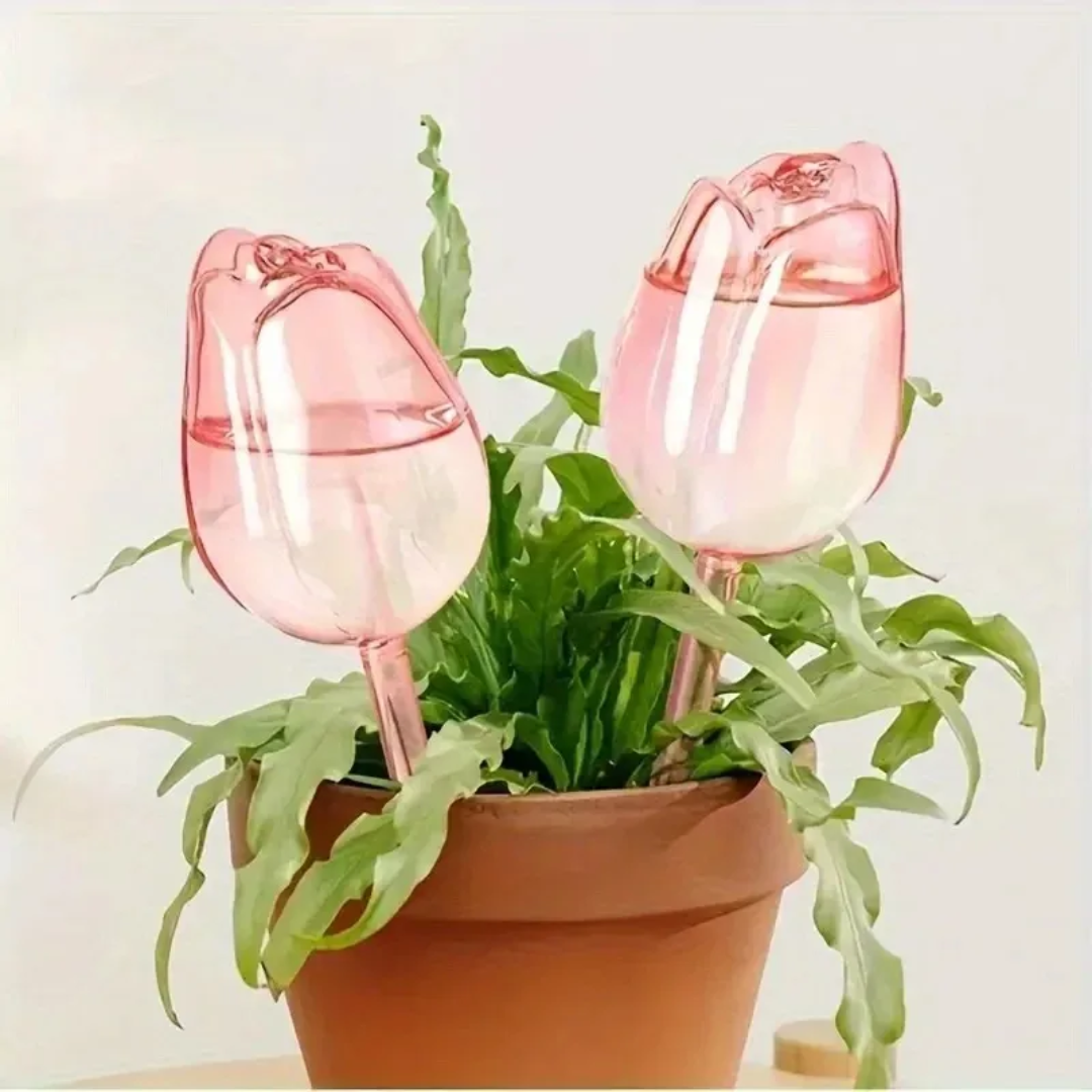 Pink Tulip Plant Watering Ball - مراجعة Gardening Tools Pink وسعره