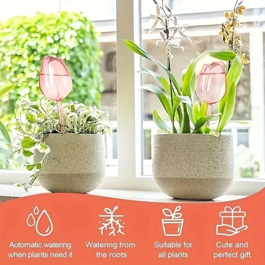 Pink Tulip Plant Watering Ball - مراجعة Gardening Tools Pink وسعره