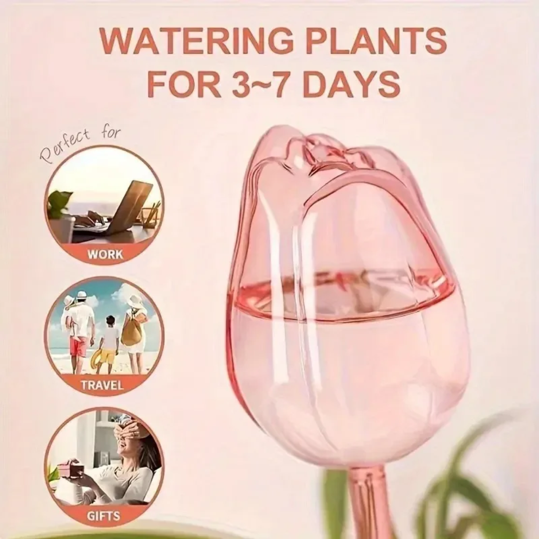 Pink Tulip Plant Watering Ball - مراجعة Gardening Tools Pink وسعره