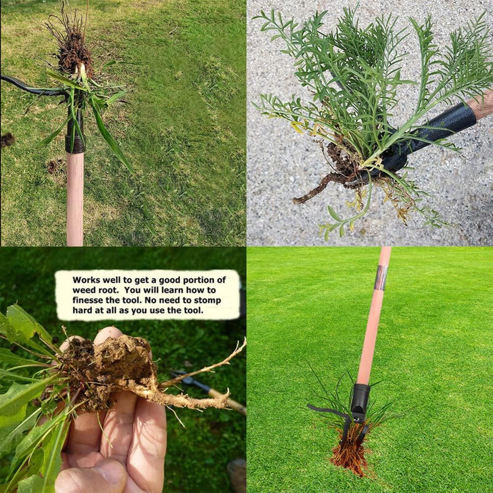 Stand Up Weed Puller Tool Deta - مراجعة Gardening Tools To Remove Weeds وسعره