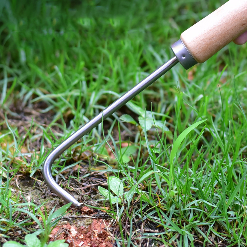 1PC Single Claw Hook Soil Loos - مراجعة Gardening Tools Gifts وسعره