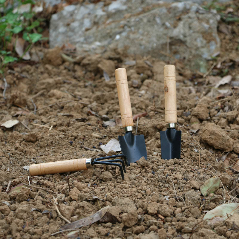 3Pcs/Set Mini Garden Tool Set  - مراجعة Gardening Tools Gifts وسعره