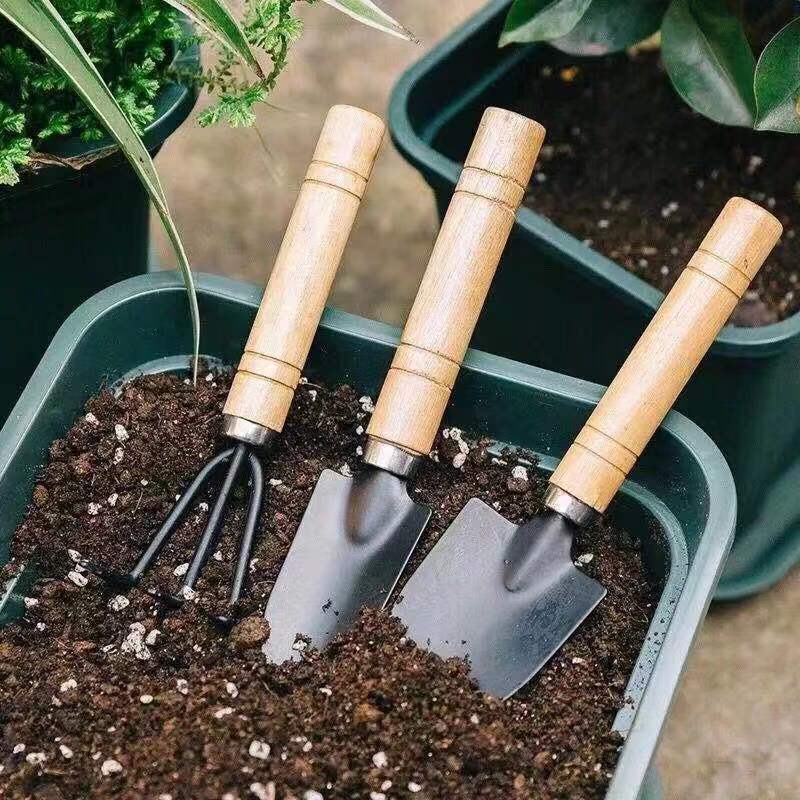 3Pcs Mini Gardening Tool Set w - مراجعة Gardening Tools Set وسعره