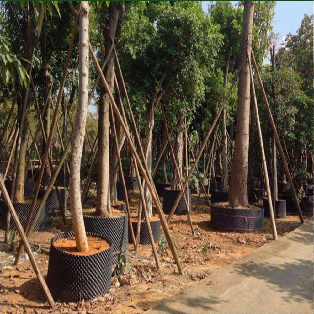 Grow Container Garden Tree Bon - مراجعة Gardening Tools Set وسعره