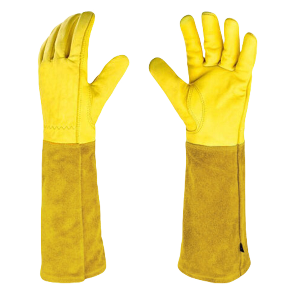 1 Pair Long Thorn Proof Rose P - مراجعة Garden Gloves Thorn Proof وسعره
