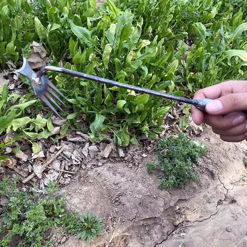 Garden Weeders Grass Hand Weed - مراجعة Gardening Tools To Remove Weeds وسعره