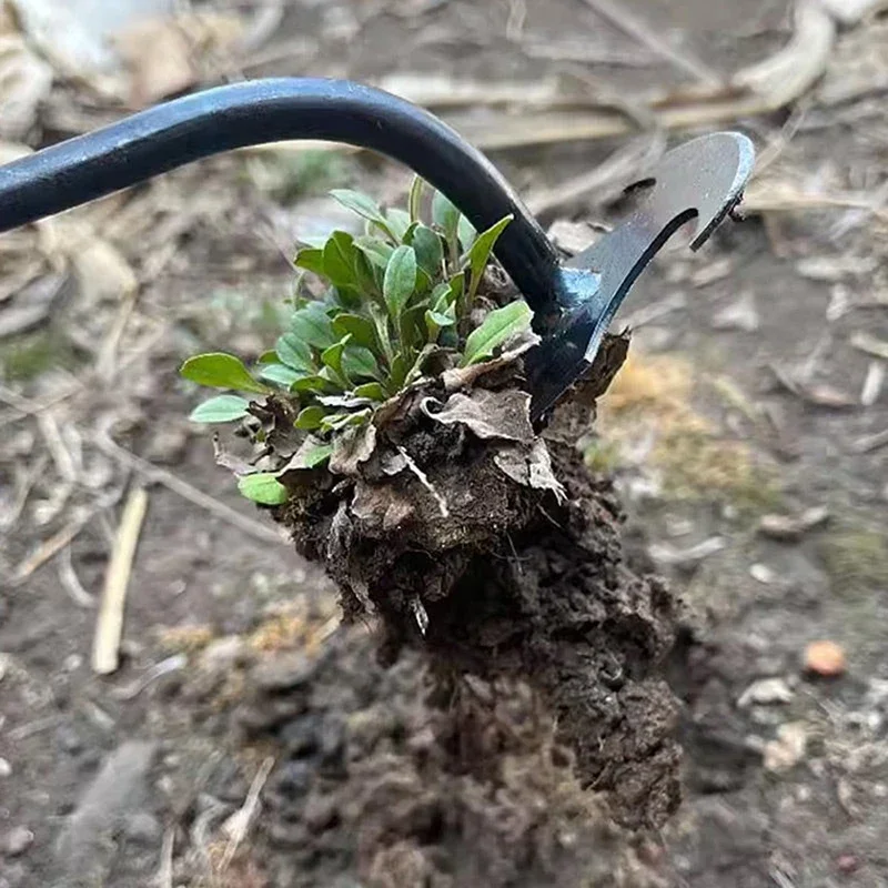 Garden Weeders Grass Hand Weed - مراجعة Gardening Tools To Remove Weeds وسعره