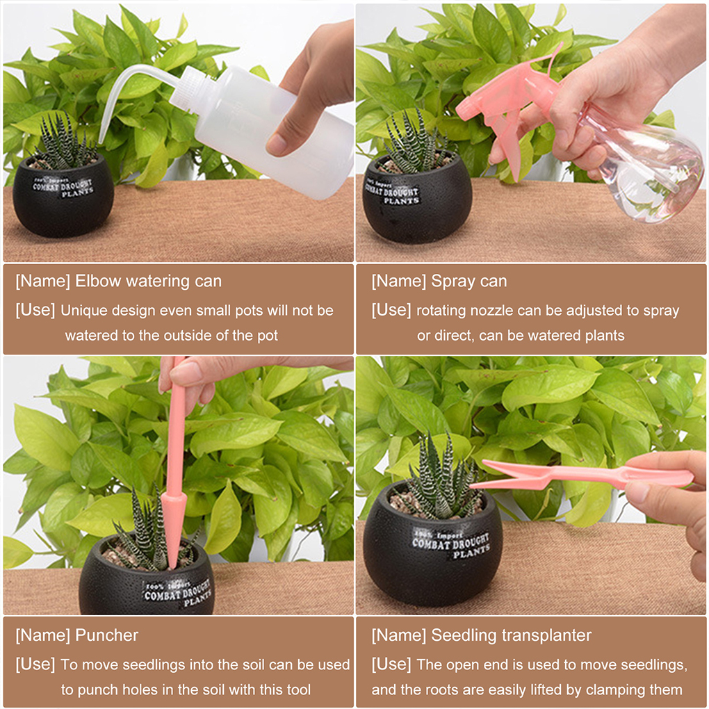 Easy To Clean Garden Succulent - مراجعة Gardening Tools Pink وسعره