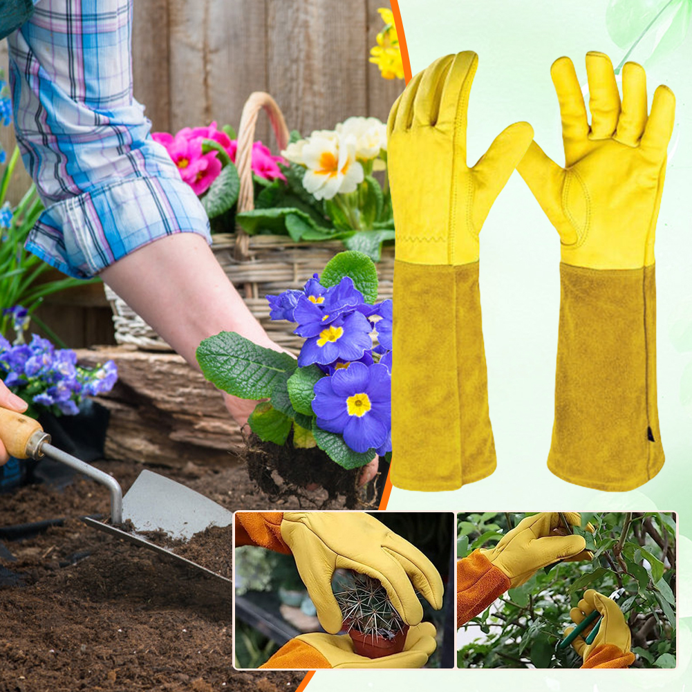 1 Pair Long Thorn Proof Garden - مراجعة Garden Gloves Thorn Proof وسعره