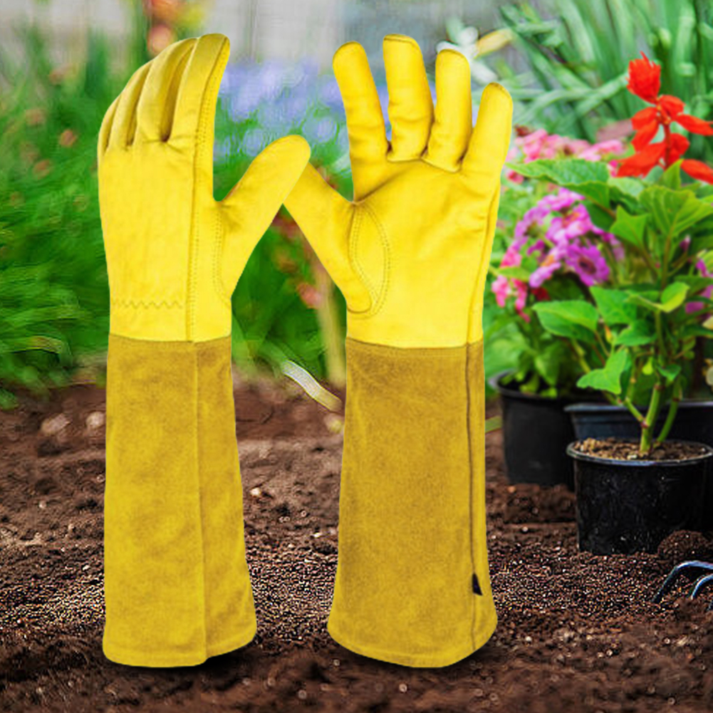 1 Pair Long Thorn Proof Garden - مراجعة Garden Gloves Thorn Proof وسعره