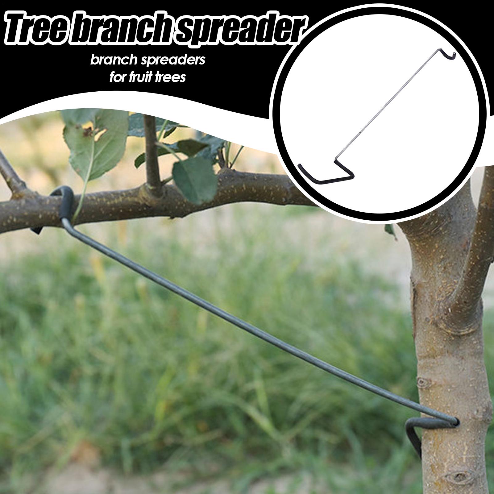 Fruit Tree Branch Spreader 10P - مراجعة Gardening Tools On Sale وسعره
