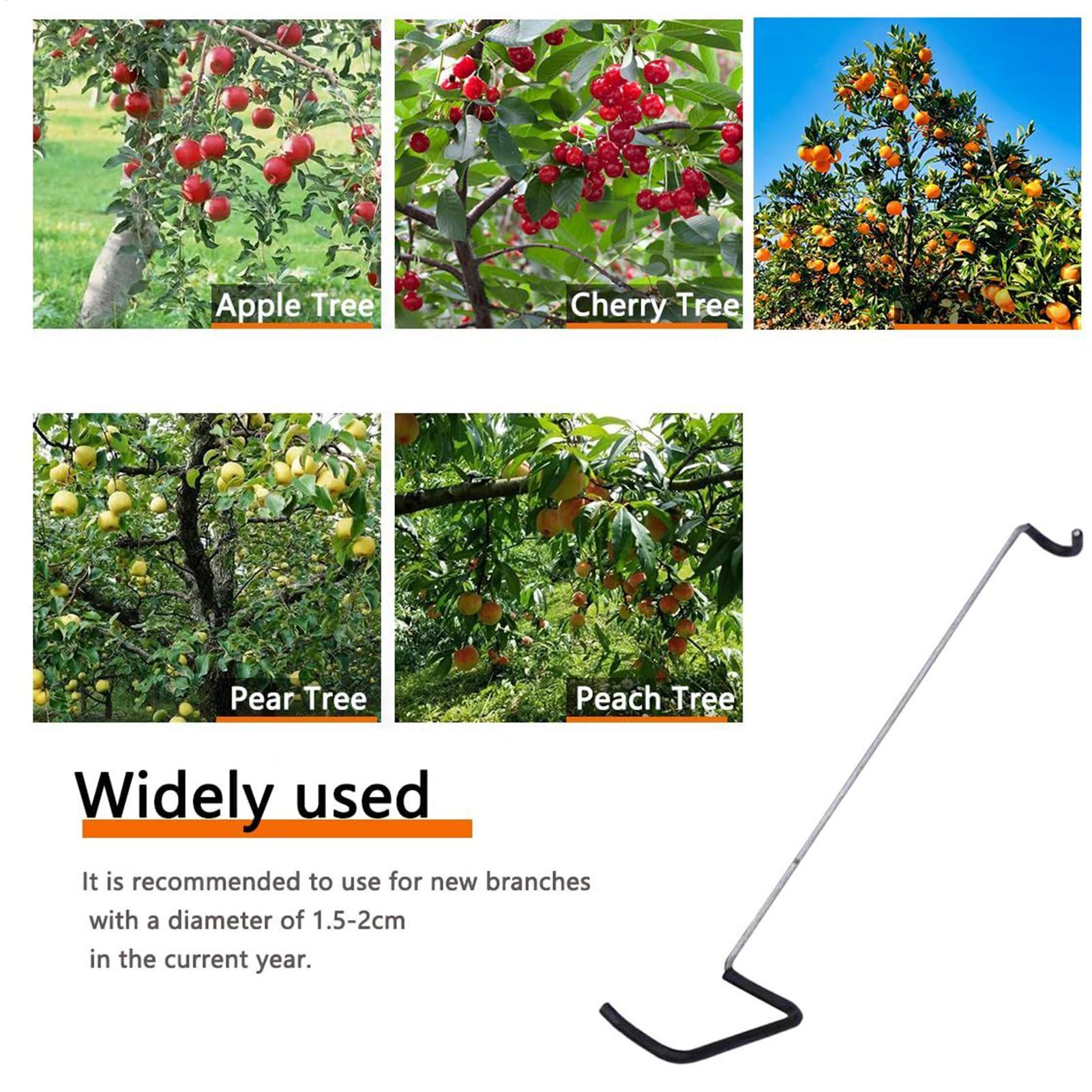 Fruit Tree Branch Spreader 10P - مراجعة Gardening Tools On Sale وسعره