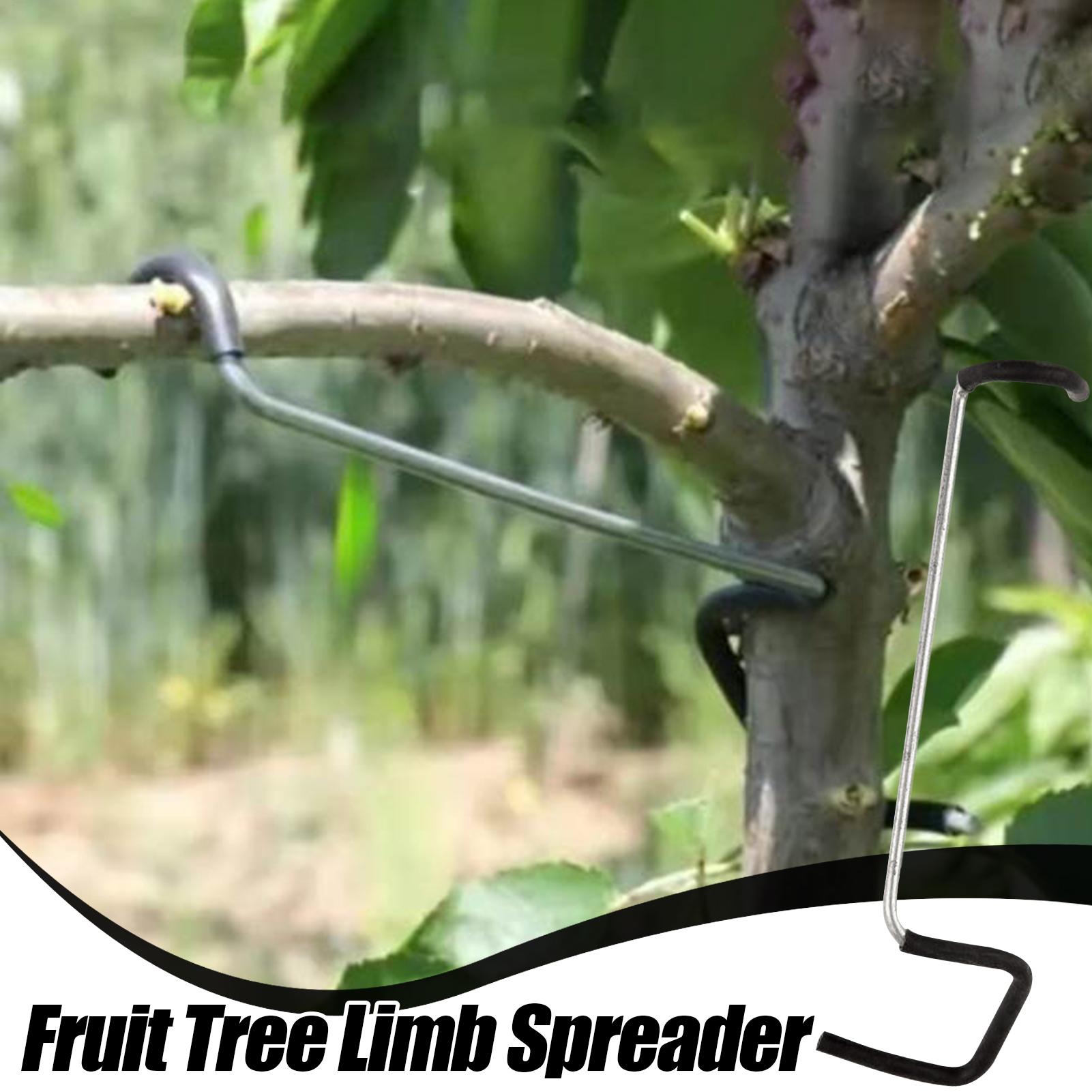 Fruit Tree Branch Spreader 10P - مراجعة Gardening Tools On Sale وسعره