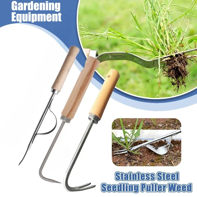Stainless Steel Gardening Weed - مراجعة Gardening Tools To Remove Weeds وسعره