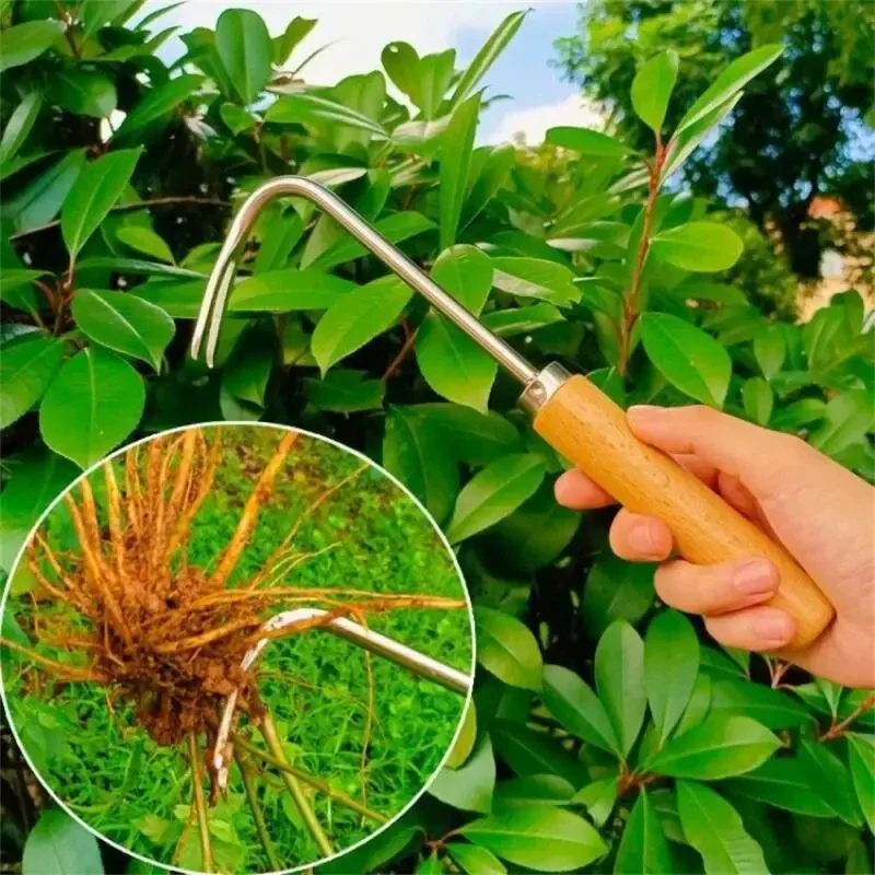 Stainless Steel Gardening Weed - مراجعة Gardening Tools To Remove Weeds وسعره
