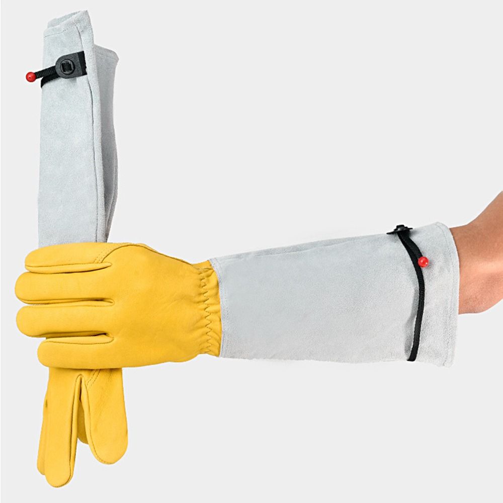Long-sleeved Thorn Proof Garde - مراجعة Garden Gloves Thorn Proof وسعره