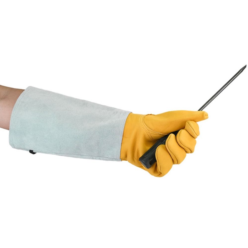 Long-sleeved Thorn Proof Garde - مراجعة Garden Gloves Thorn Proof وسعره