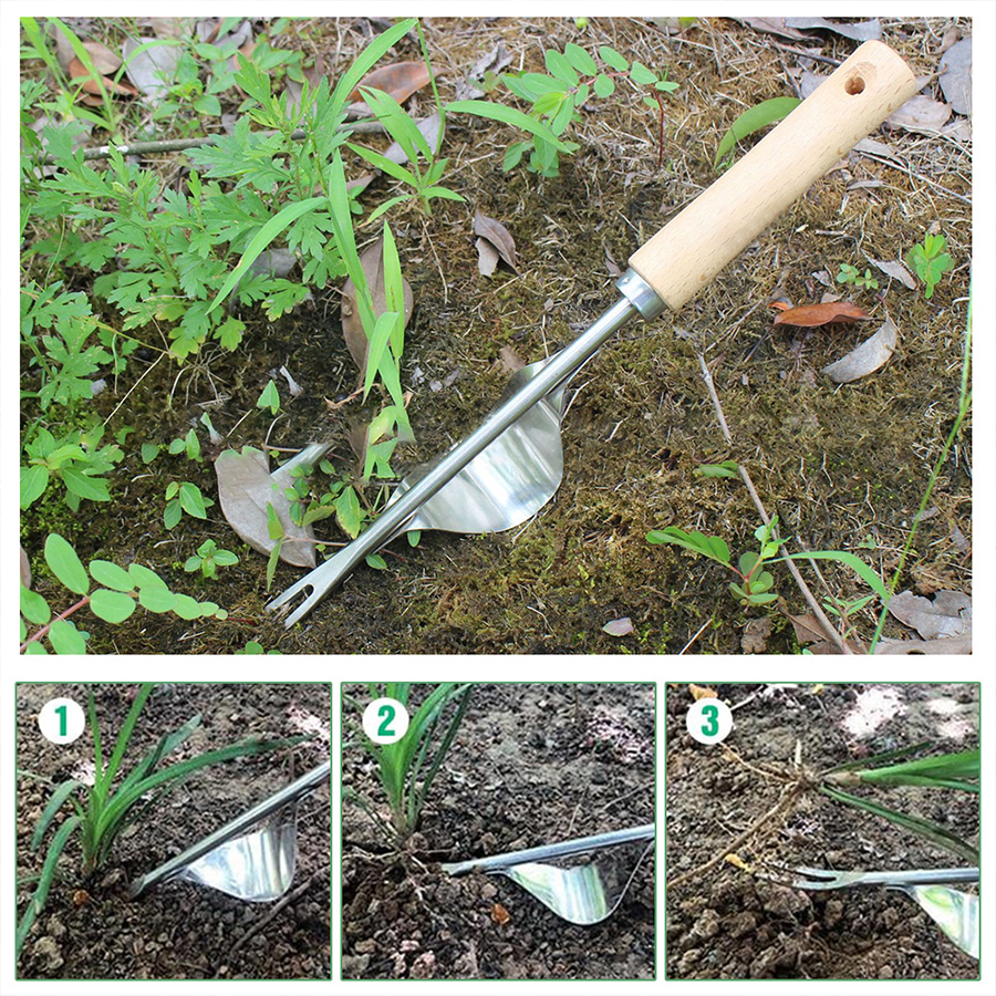 Manual Weed Puller Tool Stainl - مراجعة Gardening Tools To Remove Weeds وسعره