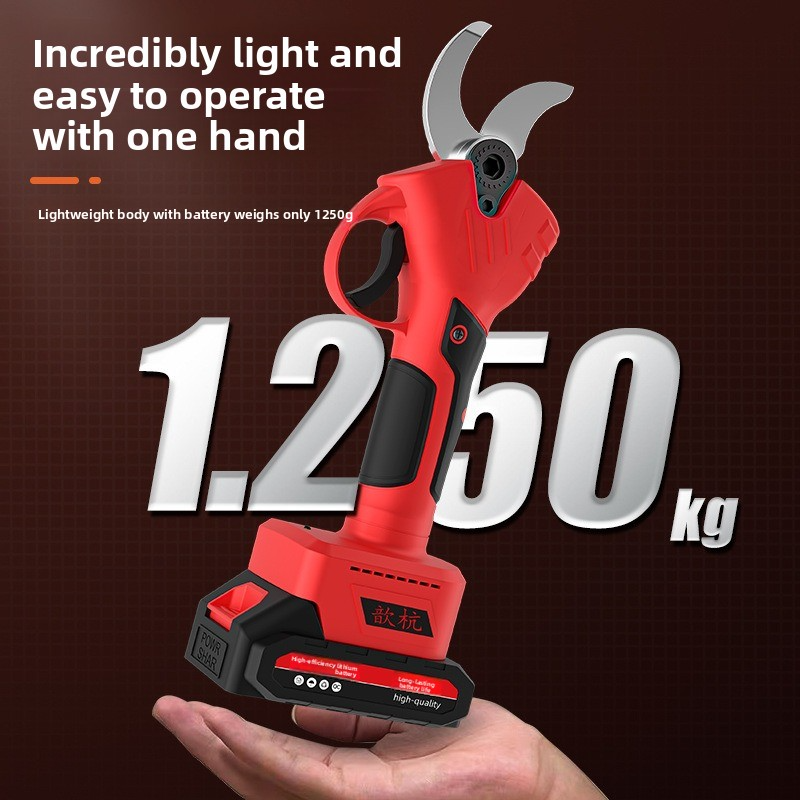 Rechargeable Lithium Battery E - مراجعة Gardening Tools On Sale وسعره