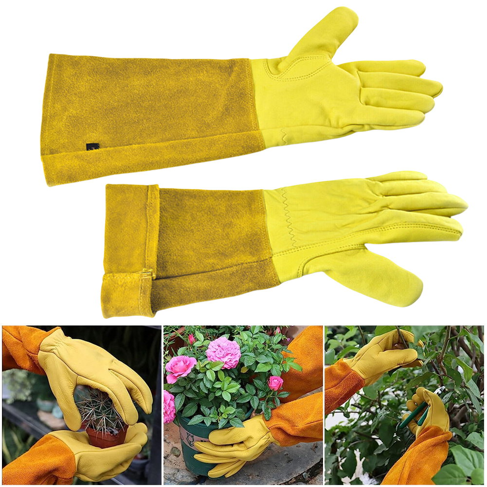 1 Pair Long Thorn Proof Garden - مراجعة Garden Gloves Thorn Proof وسعره
