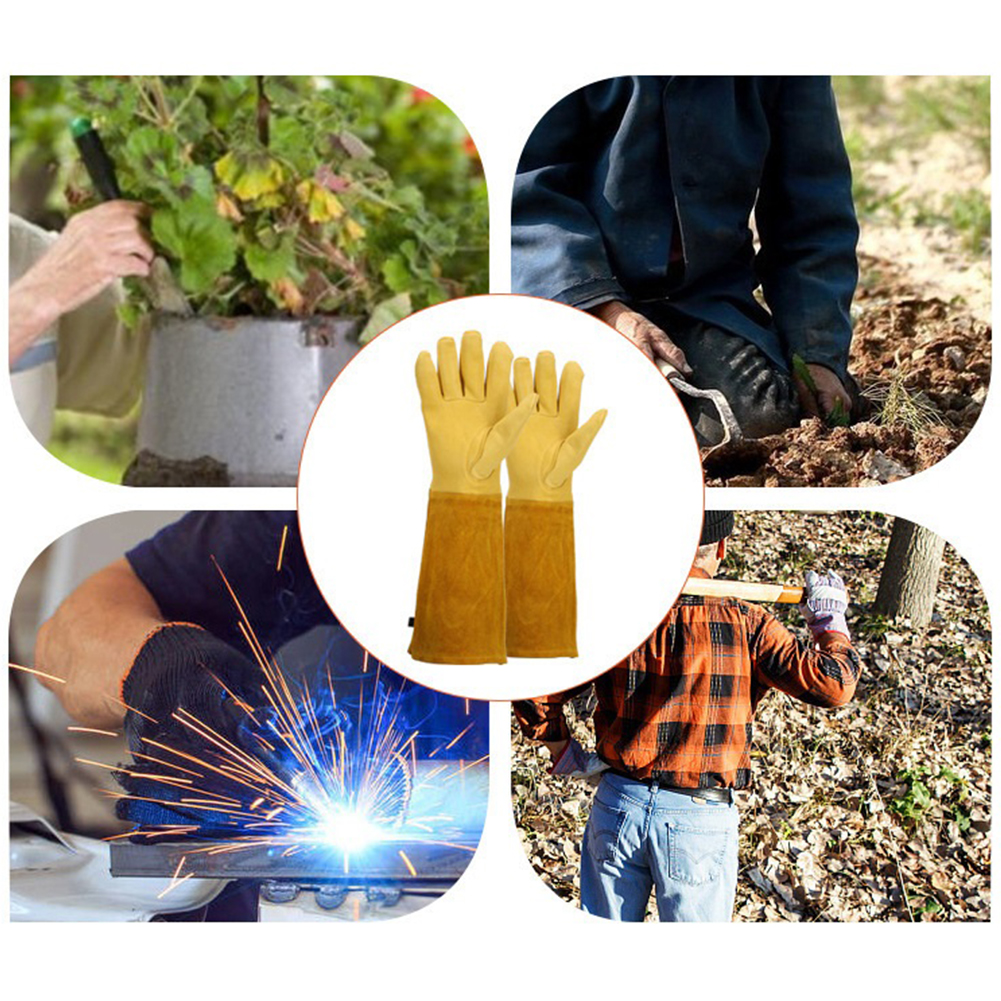 1 Pair Long Thorn Proof Garden - مراجعة Garden Gloves Thorn Proof وسعره