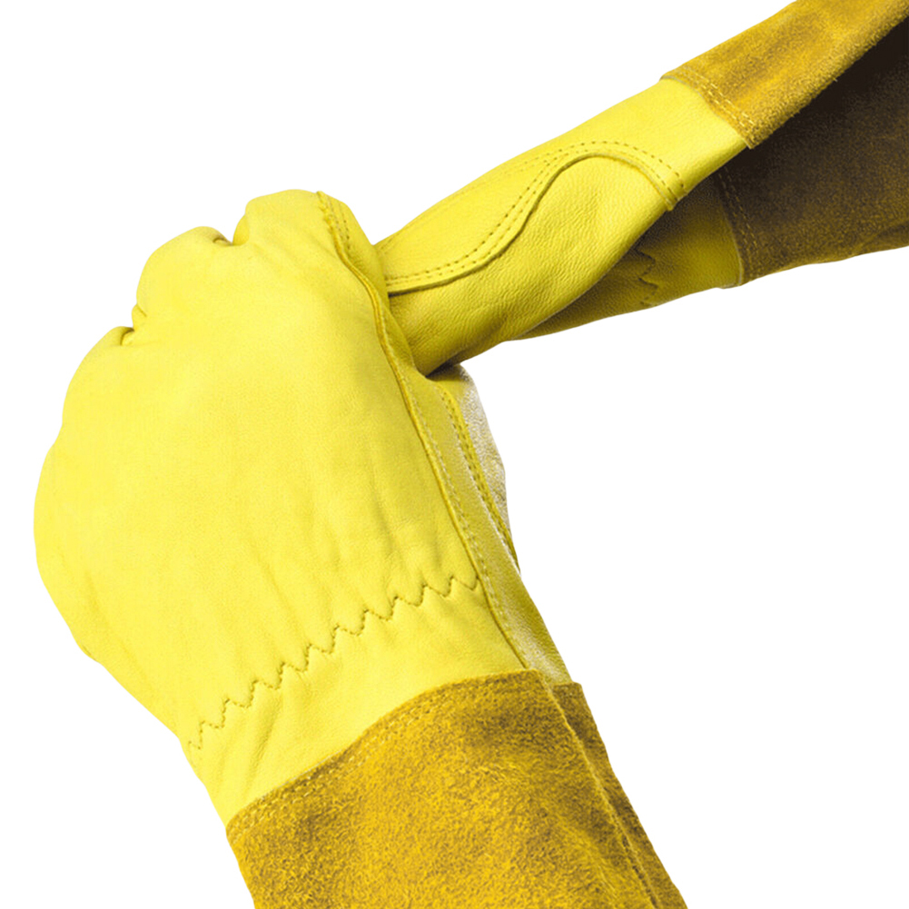 1 Pair Long Thorn Proof Garden - مراجعة Garden Gloves Thorn Proof وسعره