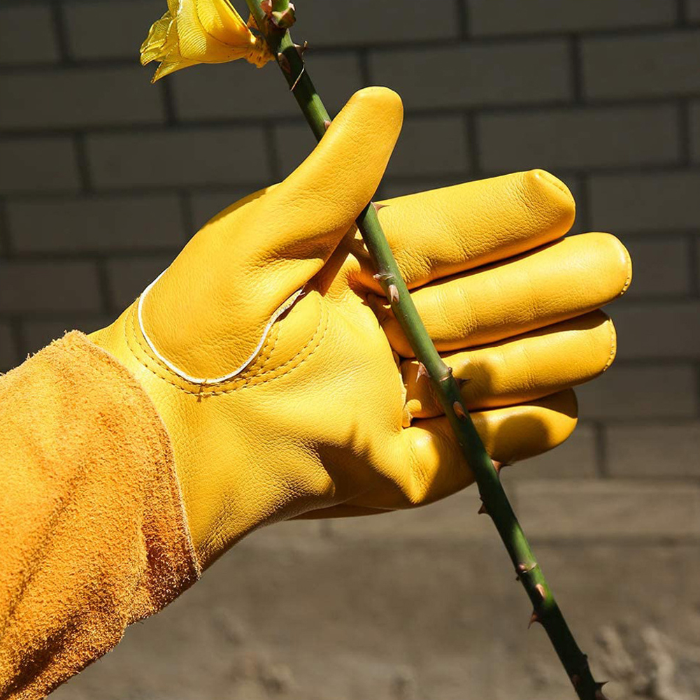 1 Pair Long Thorn Proof Garden - مراجعة Garden Gloves Thorn Proof وسعره