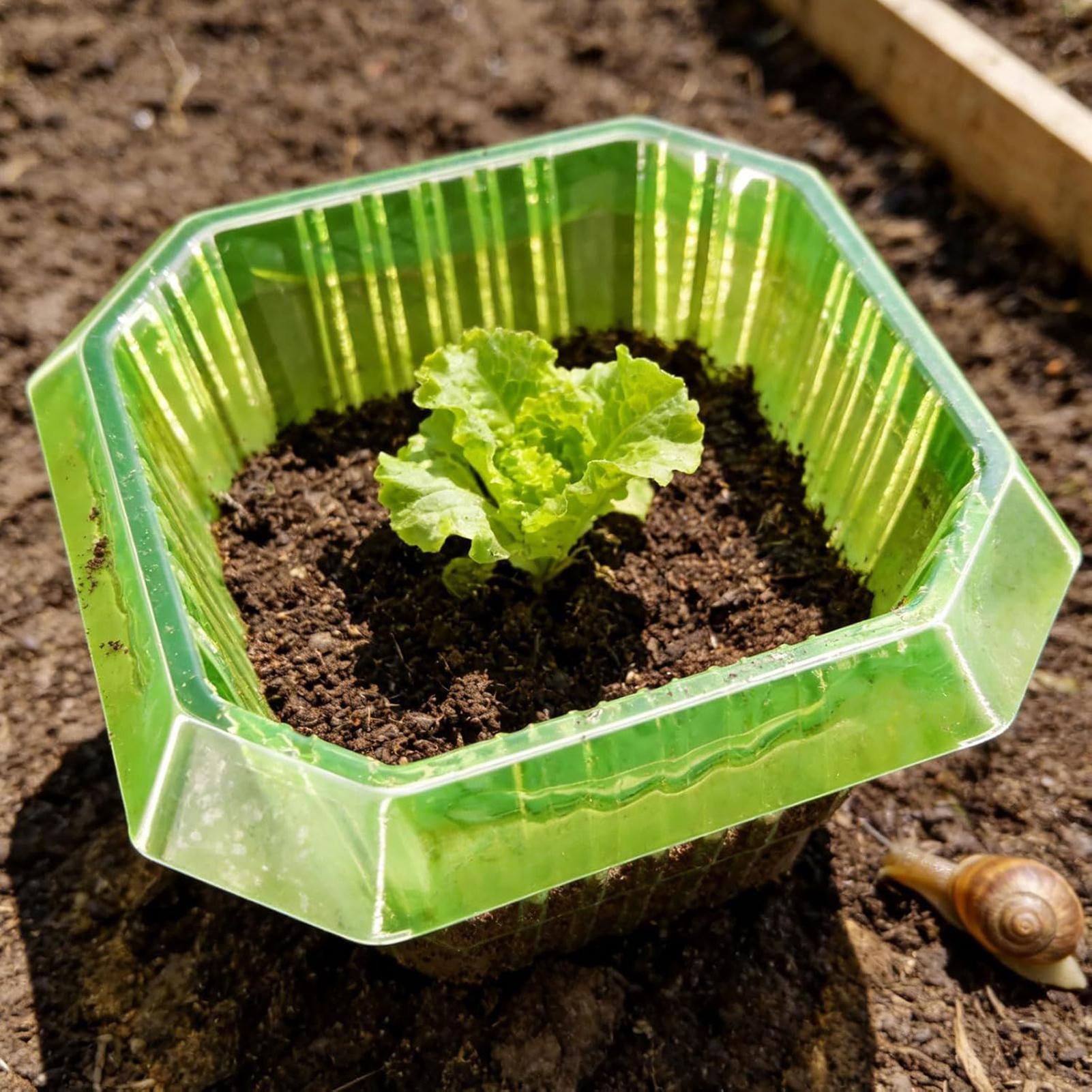 20Pcs Garden Plant Cloches Pla - مراجعة Gardening Tools On Sale وسعره