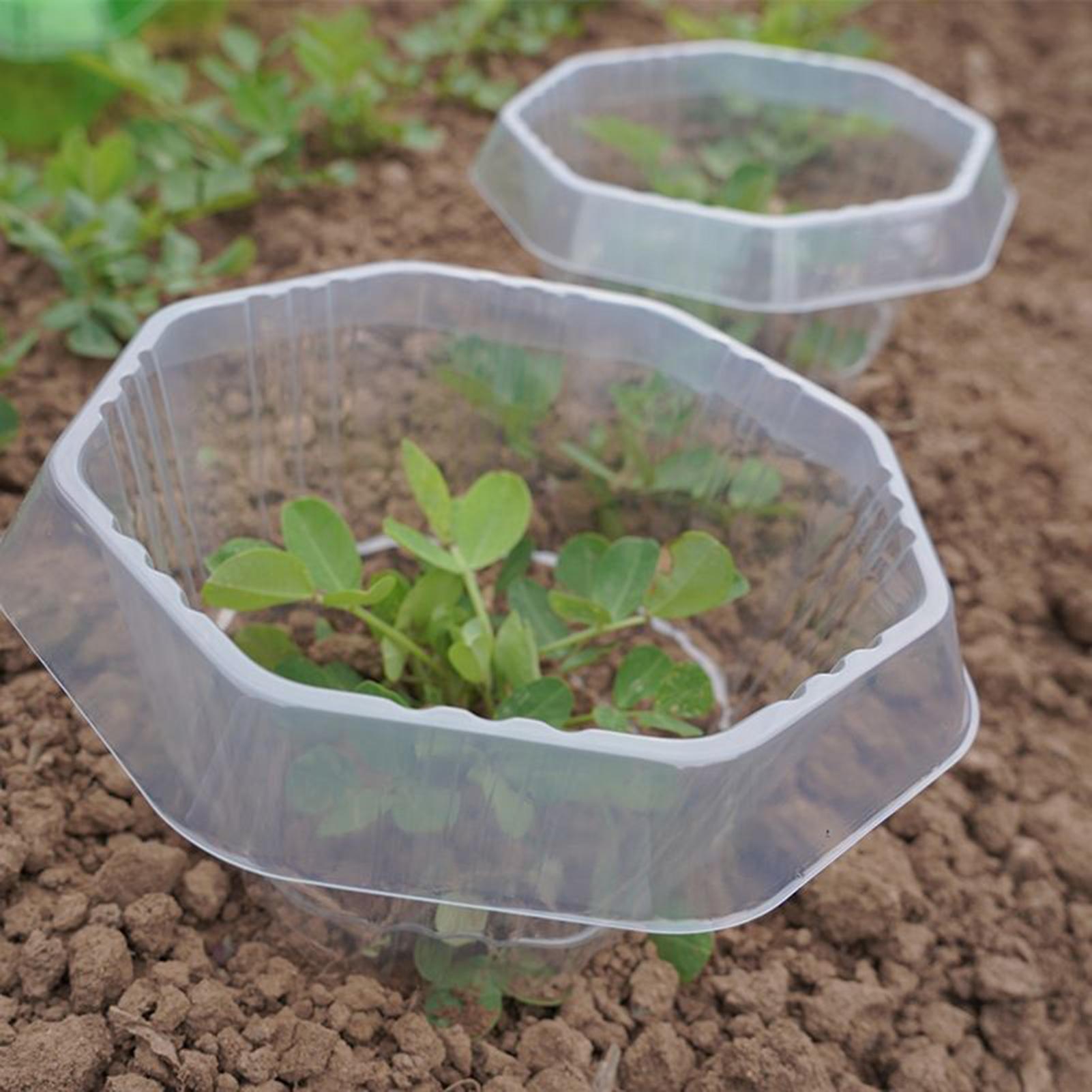 20Pcs Garden Plant Cloches Pla - مراجعة Gardening Tools On Sale وسعره
