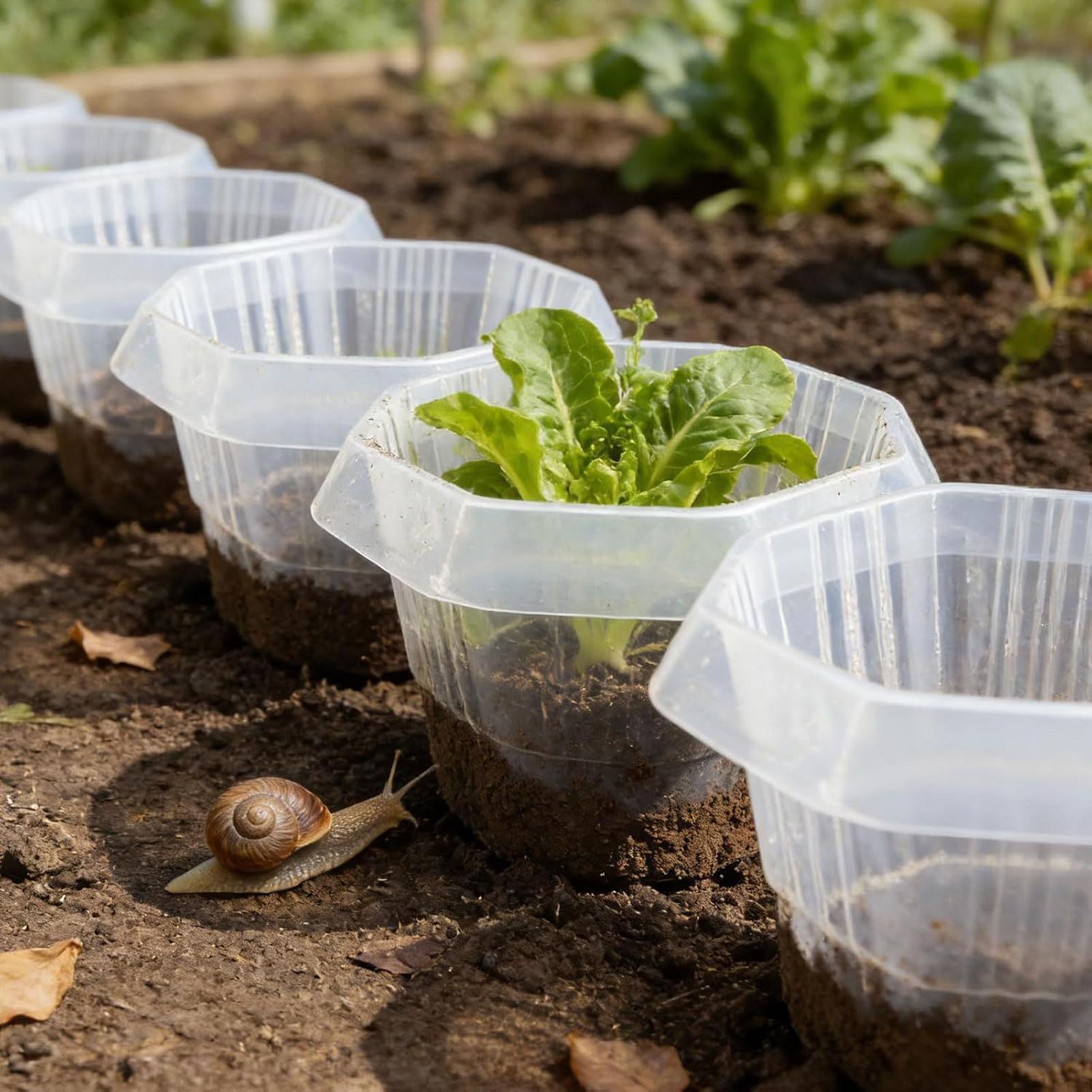 20Pcs Garden Plant Cloches Pla - مراجعة Gardening Tools On Sale وسعره