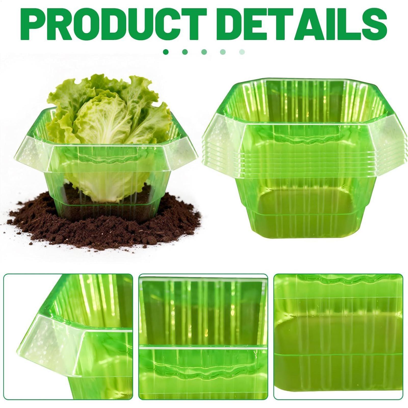 20Pcs Garden Plant Cloches Pla - مراجعة Gardening Tools On Sale وسعره