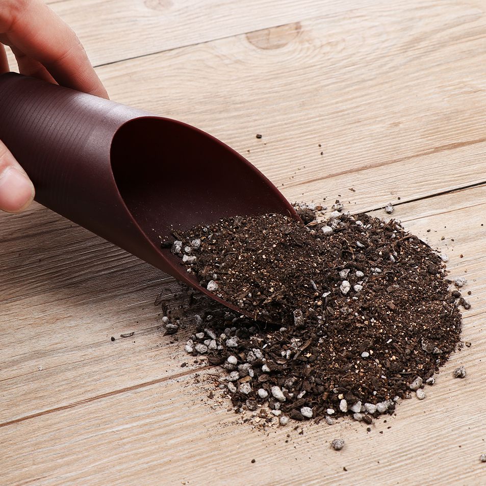 1PC Plastic Soil Shovel Cup Fo - مراجعة Gardening Tools Gifts وسعره